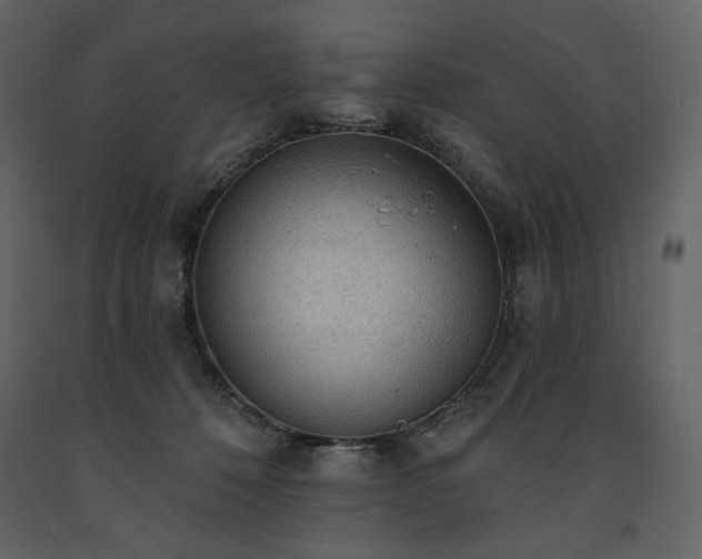 X0000091510320200708241634