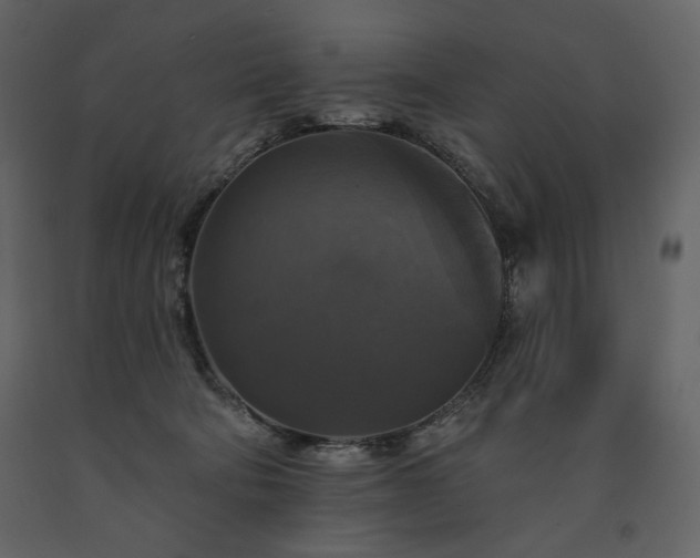 X0000091510322200708241634