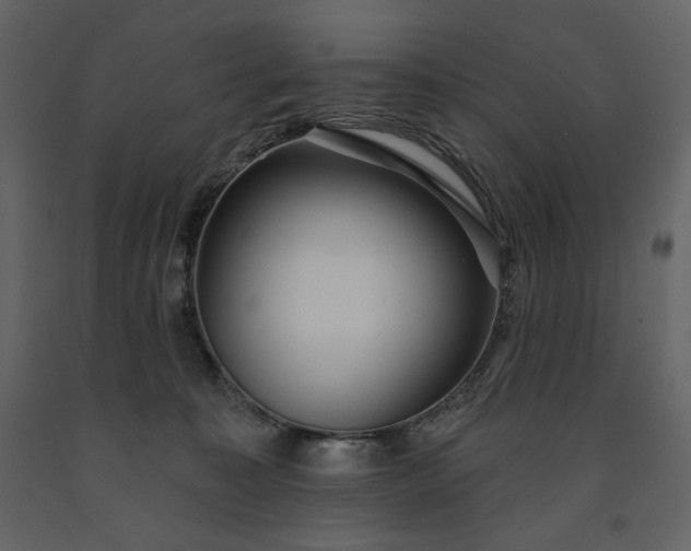 X0000091510323200708241634