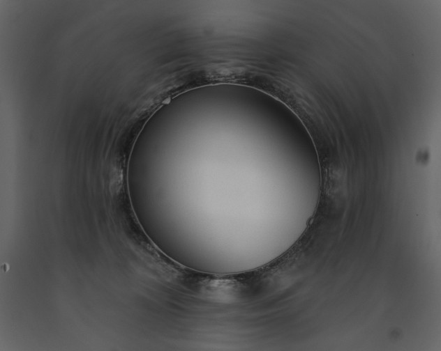 X0000091510324200708241634