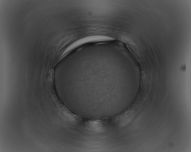 X0000091510325200708241634