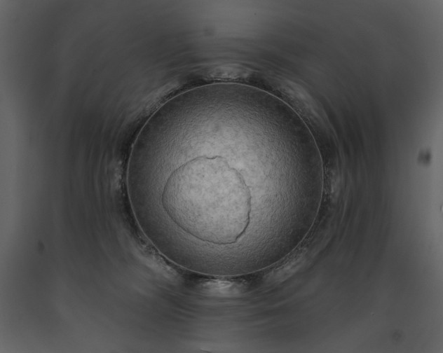 X0000091510326200708241634