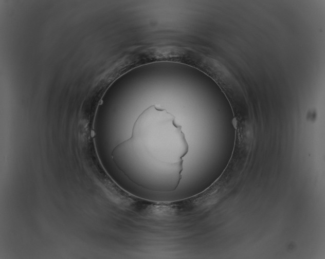 X0000091510327200708241634