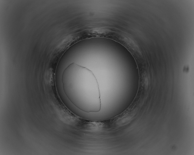 X0000091510328200708241634