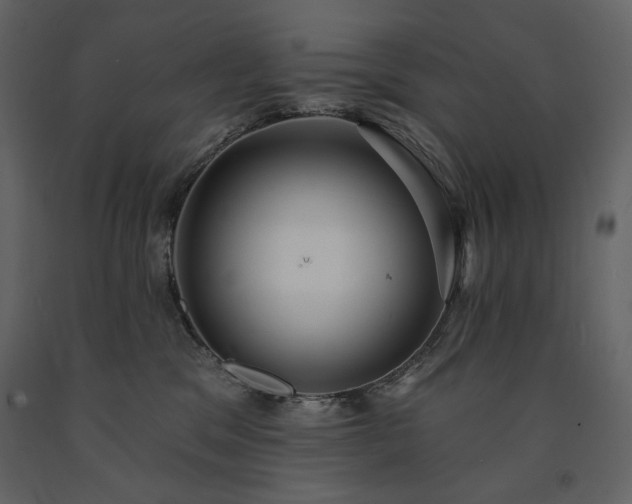 X0000091510329200708241634