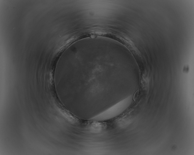 X0000091510330200708241634