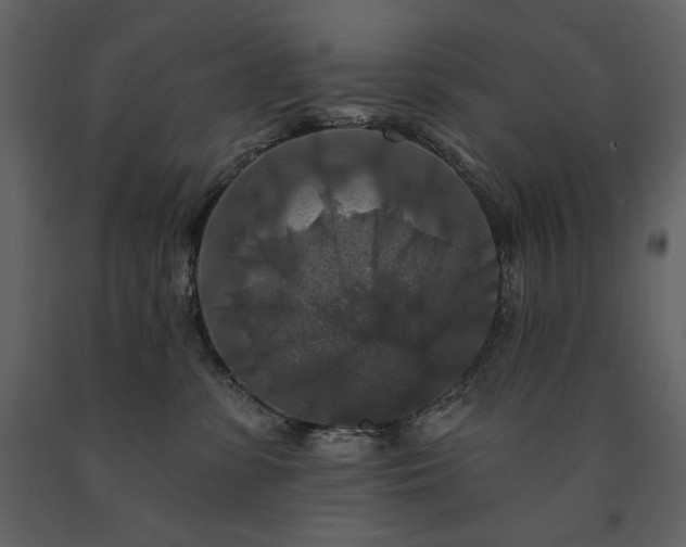 X0000091510331200708241634