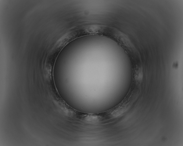 X0000091510332200708241634