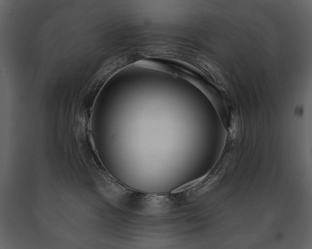 X0000091510333200708241634