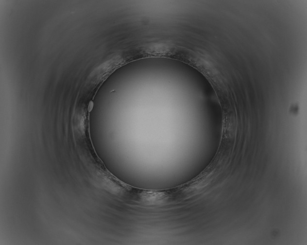 X0000091510334200708241634