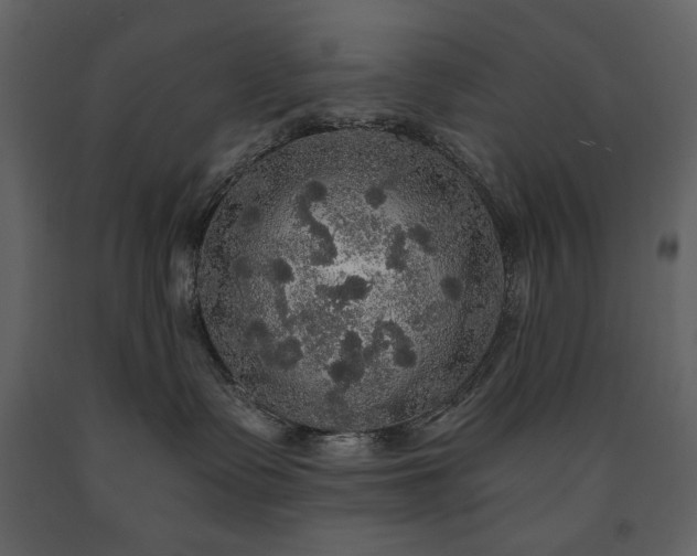 X0000091510335200708241634