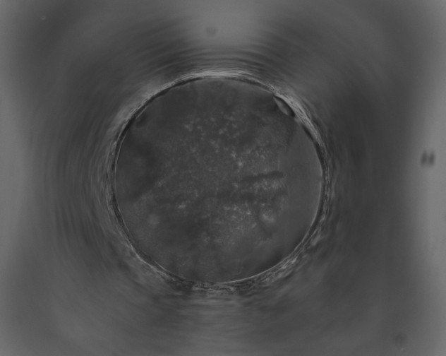 X0000091510337200708241633