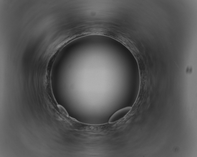 X0000091510338200708241633