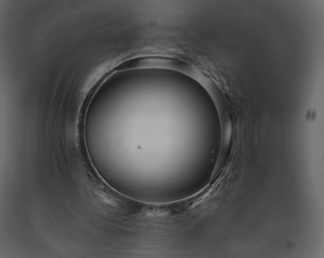 X0000091510340200708241633