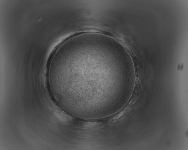 X0000091510342200708241633