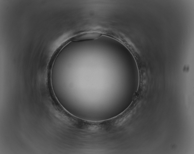 X0000091510344200708241633