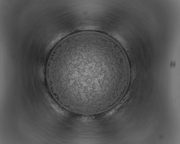 X0000091510345200708241633