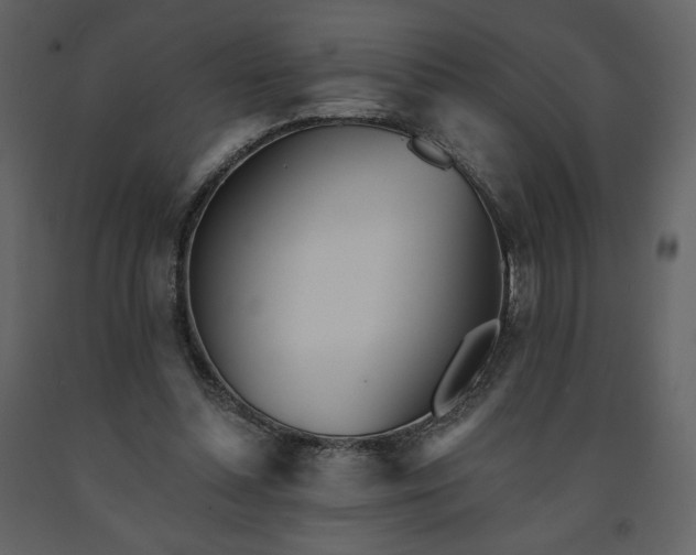 X0000091510348200708241633