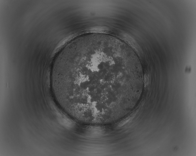 X0000091510349200708241633