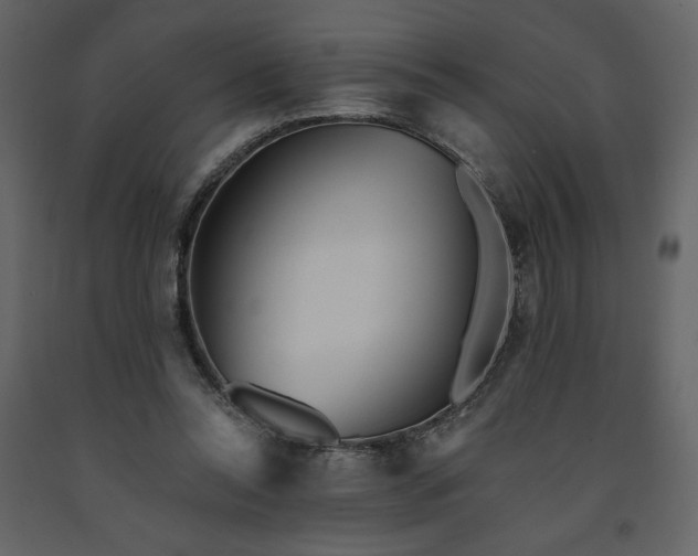 X0000091510350200708241633