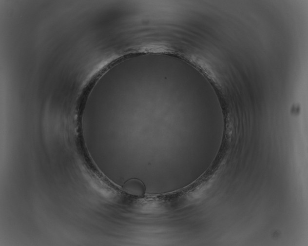 X0000091510351200708241633