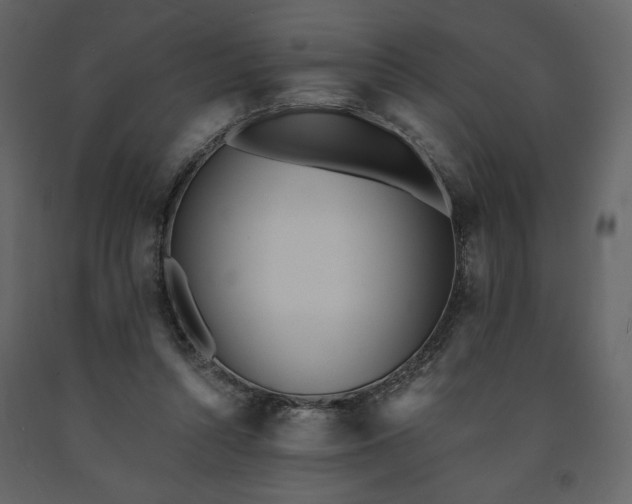 X0000091510352200708241633