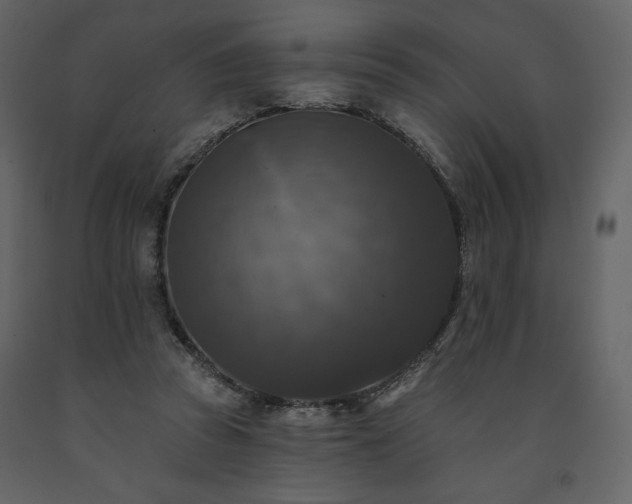 X0000091510353200708241633