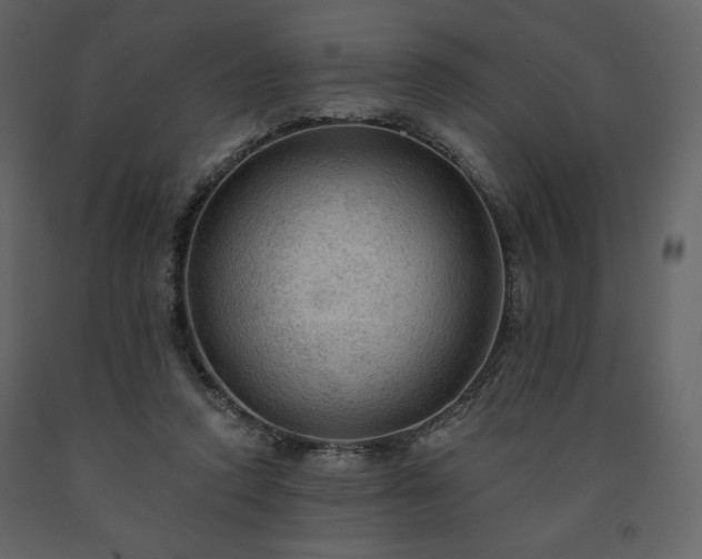 X0000091510354200708241633