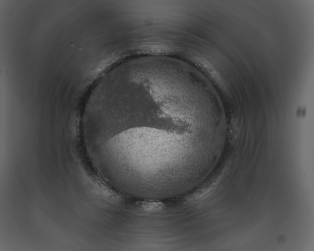 X0000091510355200708241633