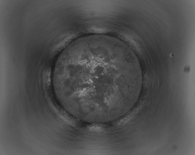 X0000091510358200708241633