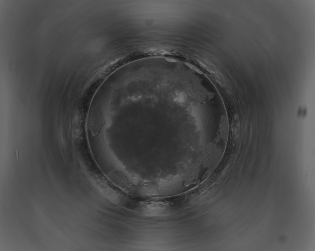 X0000091510359200708241633