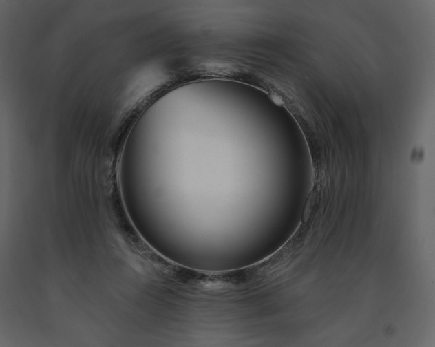 X0000091510360200708241633