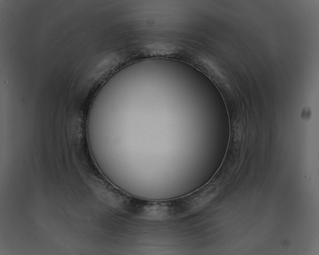 X0000091510362200708241634