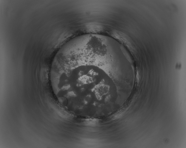 X0000091510363200708241634