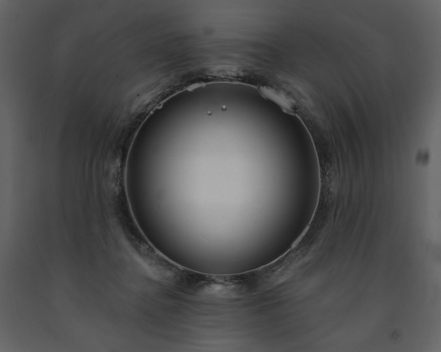 X0000091510364200708241634