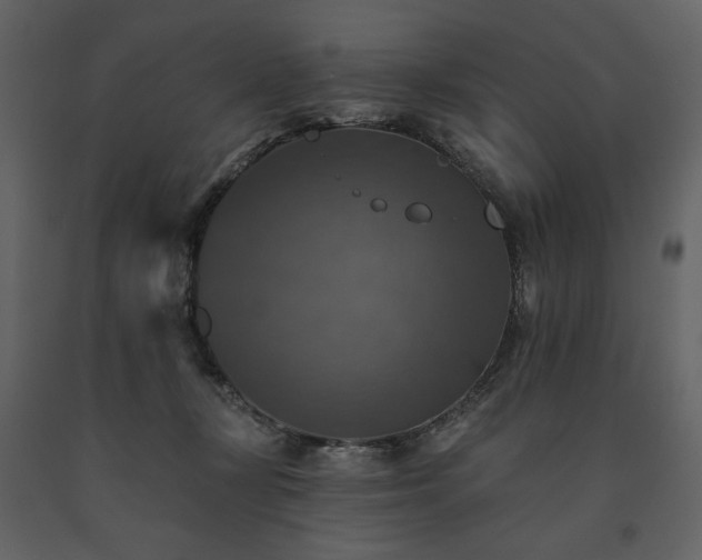 X0000091510367200708241634