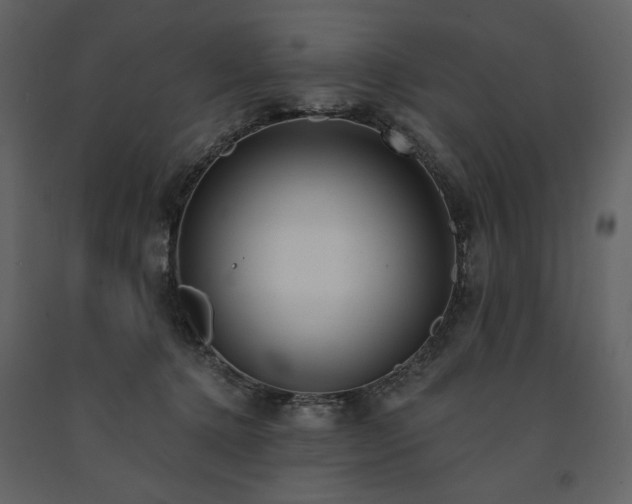 X0000091510368200708241634