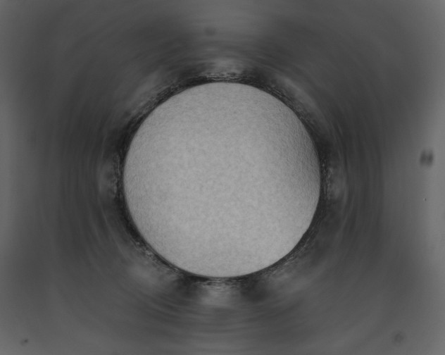 X0000091510370200708241634