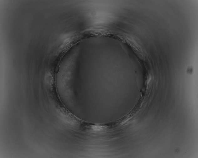 X0000091510371200708241634