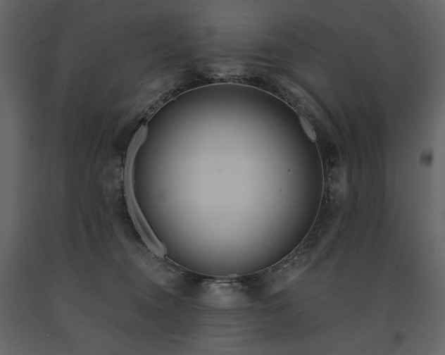 X0000091510372200708241634