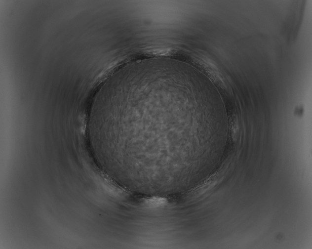 X0000091510374200708241634