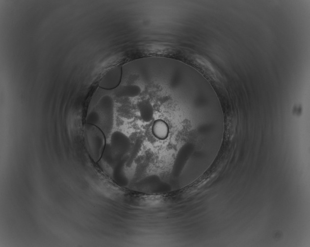 X0000091510377200708241634