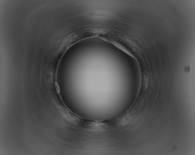 X0000091510379200708241634