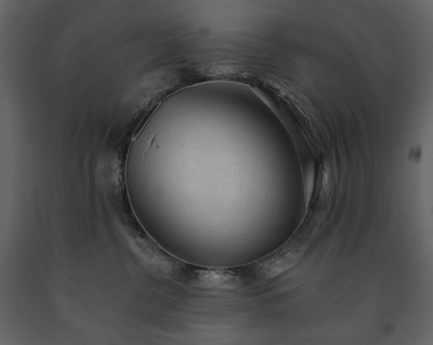 X0000091510380200708241634