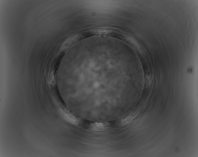 X0000091510381200708241634