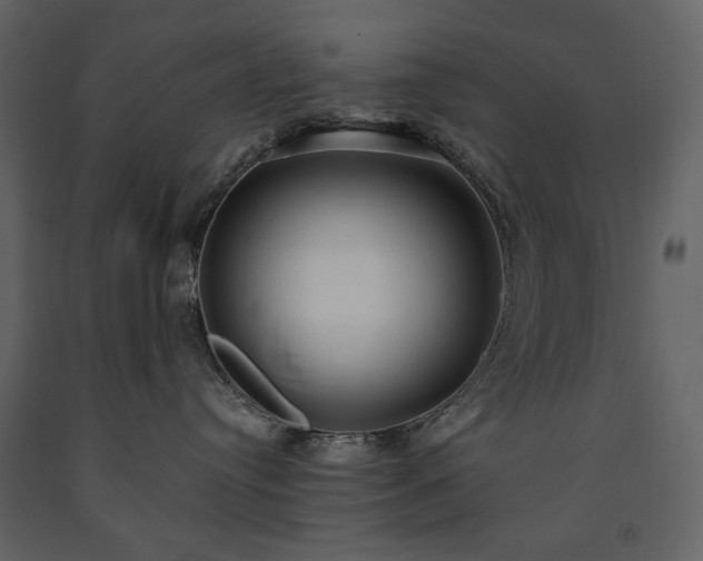 X0000091510384200708241634