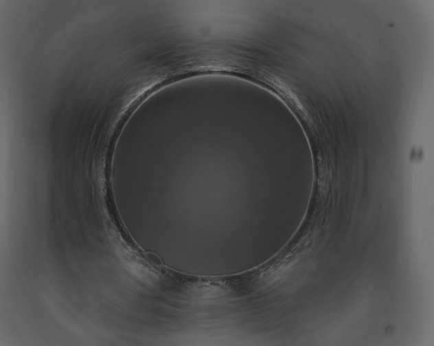 X0000091510386200708241633