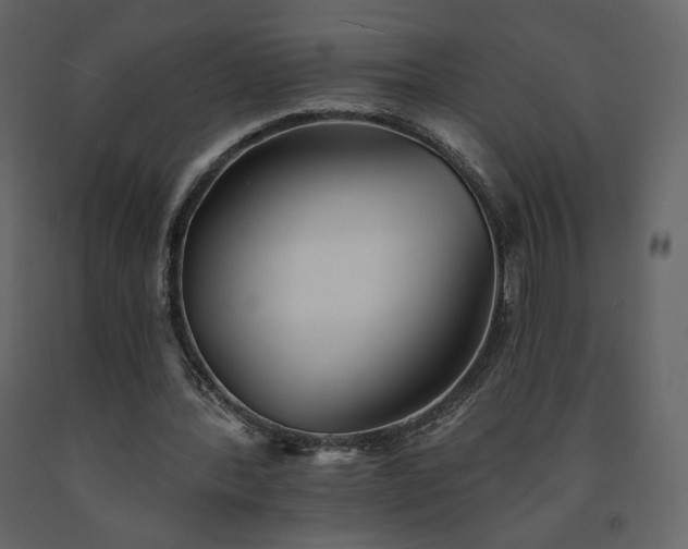 X0000091510388200708241633