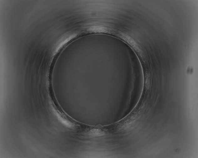 X0000091510390200708241633