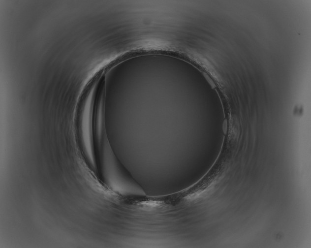 X0000091510391200708241633